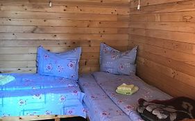 Elga´s Punk Rock Hostel